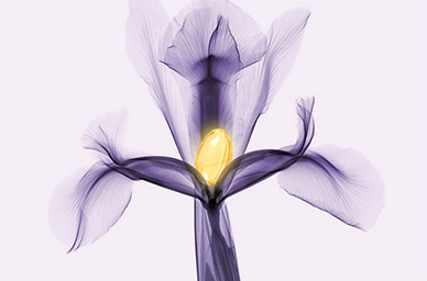 Top Benefits of Using Vaginal Tightening Gel for Your Clients