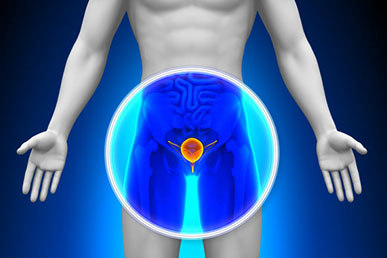 Choosing the Best Prostate Cream: A Buyer’s Guide