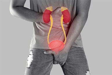Prostate Cream Usage Guide – Advanced Tips and Best Practices