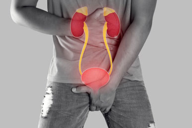 Rediscover Your Comfort: The Power of ProstaCare Prostate Cream