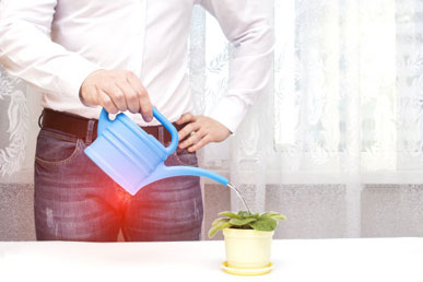 The Natural Solution for Men’s Prostate Wellness