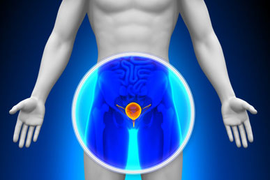 Prostate Cream – Reclaim Your Comfort and Confidence