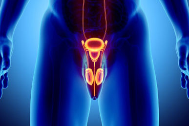 Take Control of Your Prostate Health Naturally