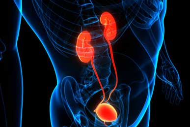 Custom Prostate Cream Manufacturer – Launch Your Own Men’s Health Brand in 4 Weeks