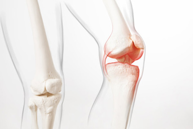 Looking for a Reliable Pain Cream Manufacturer? Kangzhimei Offers OEM, ODM, Wholesale & Dropshipping