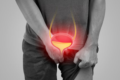 Beyond the Cream: A Complete Men’s Health Protocol for Prostate Support
